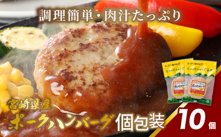 宮崎県産 ポークハンバーグ個包装(10個/冷凍)　K16_0163