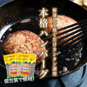 宮崎県産 ポークハンバーグ個包装(10個/冷凍)　K16_0163