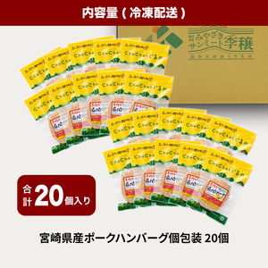 宮崎県産 ポークハンバーグ個包装(20個/冷凍) K16_0164