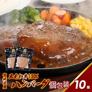宮崎県産黒毛和牛100%ハンバーグ(10個/冷凍)　K16_0160