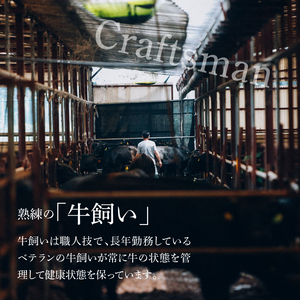 黒毛和牛高級部位　ヒレ肉　ブロックサイド不揃　サイコロステーキ　500ｇ K20_0014_2