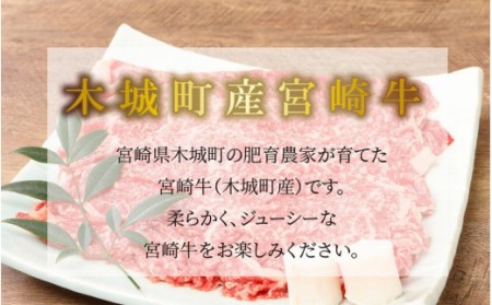 ＜宮崎牛和牛モモ肉すき焼き用300g＞ K01_0012_1