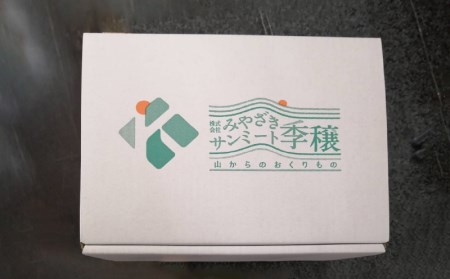 きじょん山豚 プレスハム　700ｇ×2本セット K16_0067_2