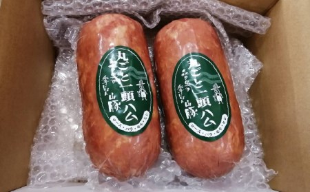 きじょん山豚 プレスハム　700ｇ×2本セット K16_0067_2