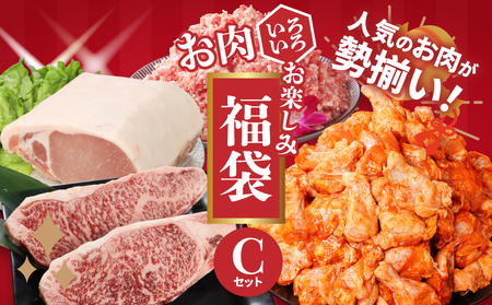 福袋 木城町 お肉いろいろお楽しみセットC K16_0071_2
