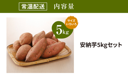 【先行予約】農家直送 木城町産 熟成安納いも5㎏ K30_0001_1
