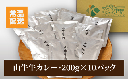 ★スピード発送!!７日～10日営業日以内に発送★「山牛」のオリジナルカレー10パックセット  K16_0012_1