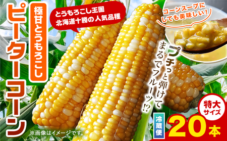 極甘とうもろこし ピーターコーン 20本 特大サイズ(1本380g以上) 高橋賢三【先行予約】《2025年8月上旬-9月中旬頃出荷》 | 北海道本別町  | ふるさと納税サイト「ふるなび」