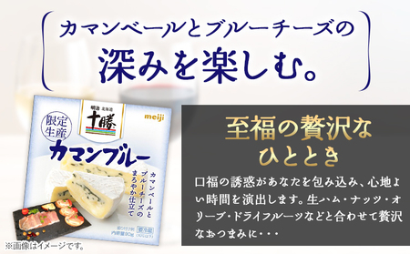明治北海道十勝チーズセットO 本別町観光協会 《60日以内に出荷予定(土日祝除く)》 北海道 本別町 十勝カマンブルー チーズ 十勝 明治 乳製品 送料無料