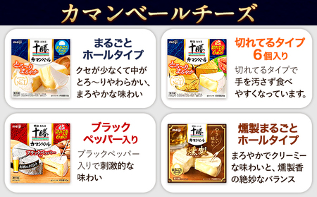 明治北海道十勝チーズセットP(5種) 本別町観光協会 《60日以内に出荷予定(土日祝除く)》 北海道 本別町 詰め合わせ 十勝カマンブルー チーズ 十勝カマンベール 十勝カマンベールチーズ燻製 十勝 明治 乳製品 送料無料