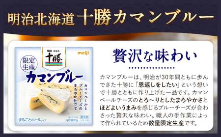 明治北海道十勝チーズセットP(5種) 本別町観光協会 《60日以内に出荷予定(土日祝除く)》 北海道 本別町 詰め合わせ 十勝カマンブルー チーズ 十勝カマンベール 十勝カマンベールチーズ燻製 十勝 明治 乳製品 送料無料