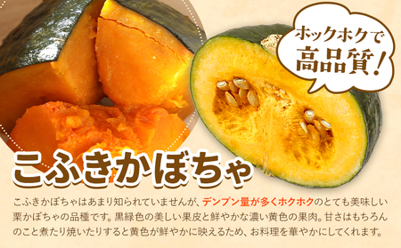 こふき かぼちゃ 南瓜 約5kg 3~4玉 《2026年9月下旬-10月下旬頃出荷》高橋賢三 送料無料 北海道 本別町 北海道 十勝 本別町産 かぼちゃ 栗かぼちゃ パンプキン ホクホク 野菜