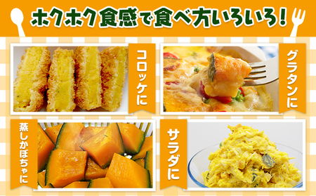 こふき かぼちゃ 南瓜 約5kg 3~4玉 《2026年9月下旬-10月下旬頃出荷》高橋賢三 送料無料 北海道 本別町 北海道 十勝 本別町産 かぼちゃ 栗かぼちゃ パンプキン ホクホク 野菜