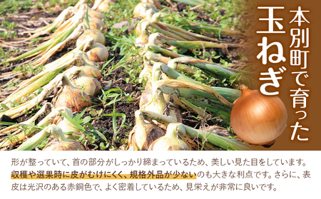 【先行予約】玉ねぎ たまねぎ 玉葱 選べる 約5kg サイズ混合《2026年10月上旬から11月中旬頃出荷》嶋崎農園 送料無料 北海道 本別町 北海道 十勝 本別町産 オニオン カレー サラダ スープ 野菜