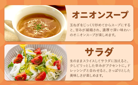 【先行予約】玉ねぎ たまねぎ 玉葱 選べる 約10kg サイズ混合《2026年10月上旬から11月中旬頃出荷》嶋崎農園 送料無料 北海道 本別町 北海道 十勝 本別町産 オニオン カレー サラダ スープ 野菜