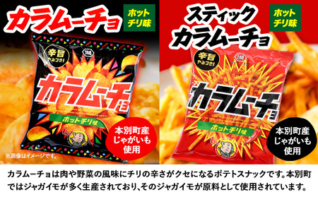 『湖池屋 ポテトチップス＆ 柳月 三方六小割』セット 本別町観光協会 送料無料《60日以内に出荷予定(土日祝除く)》ポテトチップス　北海道ポテトチップス　湖池屋ポテトチップス　おつまみポテトチップス　