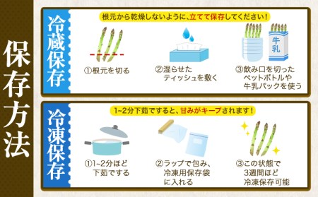  北海道十勝 露地栽培 朝採り直送「季節限定！朝採りアスパラ 2.1kg」 本別町産 本別町農業協同組合 送料無料 先行予約 北海道 本別町 アスパラガス 春 野菜 旬 露地 産地直送 グリーンアスパラガス《5月中旬-6月中旬頃出荷》 