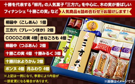 北海道十勝スイーツ柳月「三方六」など詰め合わせ 十勝川Aセット 本別町観光協会《60日以内に出荷予定(土日祝除く)》