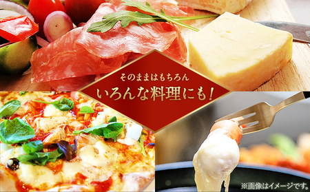 明治北海道十勝チーズセットＨ(3種) 計6個 本別町観光協会 《60日以内に出荷予定(土日祝除く)》詰め合わせ 食べ比べ 北海道 本別町 送料無料 チーズ 十勝 明治 乳製品
