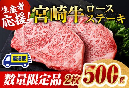 《数量限定》宮崎牛ロースステーキ 2枚 (500g) 【 肉 国産 黒毛和牛 牛肉 宮崎牛 ステーキ 牛肉 】
