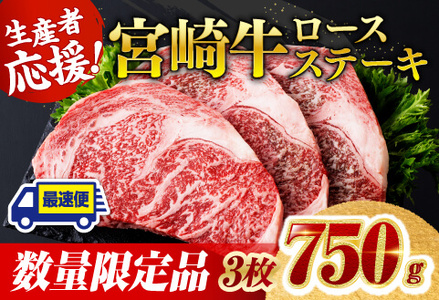 《数量限定》宮崎牛ロースステーキ3枚 (750g) 【肉 国産 黒毛和牛 牛肉 宮崎牛 ステーキ 牛肉】