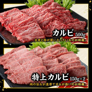 宮崎牛 堪能セット 【プレミアム】 合計1.9k【 肉 牛肉 国産 宮崎県産 黒毛和牛 和牛 ロースステーキ カルビ 】