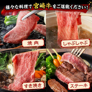 宮崎牛 堪能セット 【プレミアム】 合計1.9k【 肉 牛肉 国産 宮崎県産 黒毛和牛 和牛 ロースステーキ カルビ 】