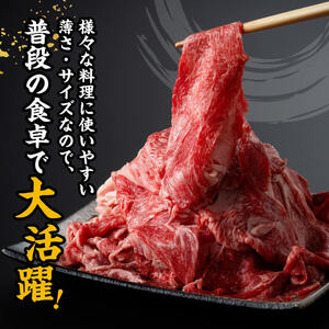 宮崎 牛切り落とし 500g【 肉 牛肉 国産 宮崎県産 黒毛和牛 和牛 】