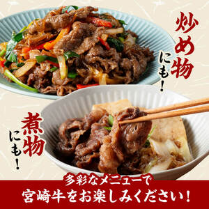 宮崎 牛切り落とし 500g【 肉 牛肉 国産 宮崎県産 黒毛和牛 和牛 】