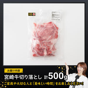 宮崎 牛切り落とし 500g【 肉 牛肉 国産 宮崎県産 黒毛和牛 和牛 】