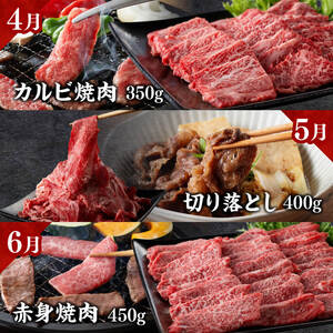 【定期便】宮崎牛　匠の堪能セット 12か月定期便 【 肉 牛肉 国産 黒毛和牛 宮崎牛 全12回 焼肉 しゃぶしゃぶ 焼きしゃぶ BBQ 宮崎県 川南町】