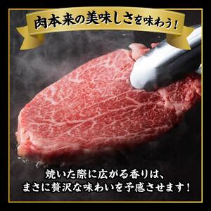 宮崎牛シャトーブリアンステーキ2枚　合計300ｇ【 肉 牛肉 国産 黒毛和牛 宮崎牛 ステーキ シャトーブリアン 宮崎県 川南町 】