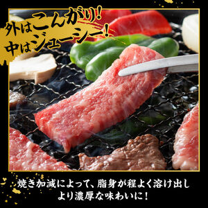 宮崎牛 カルビ焼肉 500g 【 肉 牛肉 国産 宮崎県産 黒毛和牛 カルビ 焼肉 】