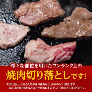 牛肉 【数量限定】宮崎県産黒毛和牛焼肉用切り落とし500g 牛肉