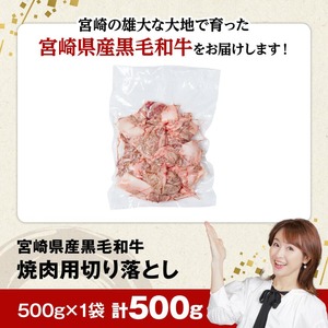 牛肉 【数量限定】宮崎県産黒毛和牛焼肉用切り落とし500g 牛肉
