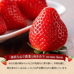 川南町産いちご「やよいひめ」430ｇ 【 期間限定 果物 イチゴ 苺 やよいひめ フルーツ 】