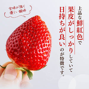 川南町産いちご「やよいひめ」430ｇ 【 期間限定 果物 イチゴ 苺 やよいひめ フルーツ 】