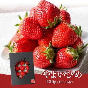 川南町産いちご「やよいひめ」430ｇ 【 期間限定 果物 イチゴ 苺 やよいひめ フルーツ 】