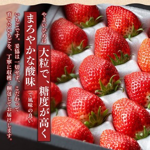 川南町産　いちご「やよいひめ」900ｇ（450ｇ×2）【 期間限定 果物 イチゴ 苺 やよいひめ フルーツ 】