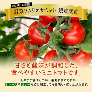 宮崎県産完熟ミニトマト「アルル」1kg 【 新鮮 アルル ミニトマト とまと 野菜 産地直送 宮崎県産川南町産 送料無料 】