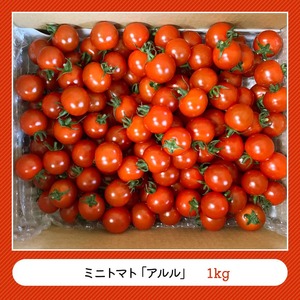 宮崎県産完熟ミニトマト「アルル」1kg 【 新鮮 アルル ミニトマト とまと 野菜 産地直送 宮崎県産川南町産 送料無料 】