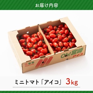 宮崎県産ミニトマト「アイコ」3kg 【 宮崎県産 ミニトマト トマト 】