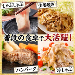 宮崎県産豚肉5種3.2kg セット 詰合せ 豚肉