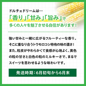 【令和8年発送】宮崎県産とうもろこしスィートコーン「ドルチェドリーム」6本 スイートコーン