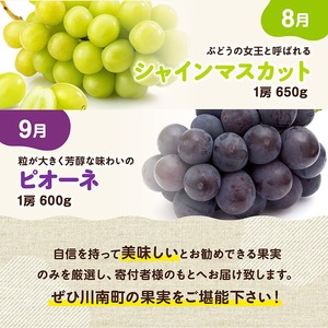 ※期間限定※【6ヶ月定期便】大人気くだもの定期便Vol.2 【 川南町産 くだもの いちご イチゴ きんかん マンゴー シャインマスカット ピオーネ  】