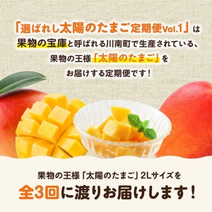 【3ヶ月定期便】選ばれし太陽のたまご定期便Vol.1 果物 マンゴー