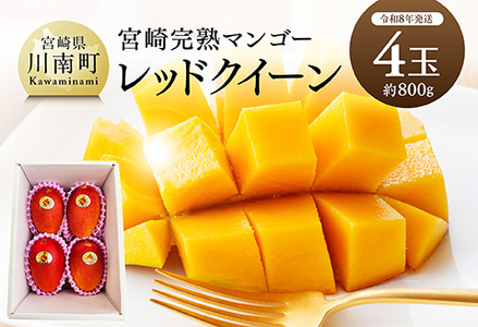 【令和8年発送】宮崎県産完熟マンゴー　「レッドクイーン」4玉(800g) 【 果物 フルーツ マンゴー 宮崎県産 完熟マンゴー みやざきマンゴー 先行予約 数量限定 期間限定 】
