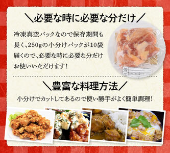【令和8年2月発送】（小分け）宮崎県産若鶏もも肉2.5kg（250g×10袋） 精肉 チキン南蛮 鶏肉