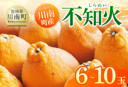 宮崎県川南町産「不知火（しらぬい）」６～１０玉 【 先行予約 季節限定 果物 フルーツ 不知火 みかん 】
