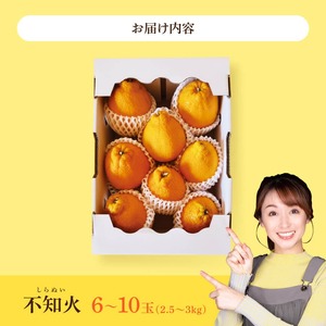 宮崎県川南町産「不知火（しらぬい）」６～１０玉 【 先行予約 季節限定 果物 フルーツ 不知火 みかん 】